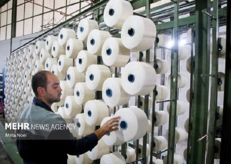 حمایت هدفمند از تولیدکنندگان آسیب‌دیده در دستور کار