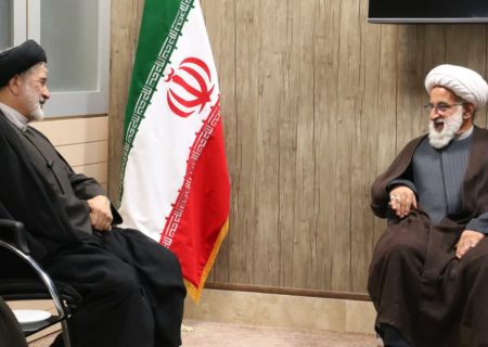 انتقاد آیت‌الله ردایی از سپردن مسئولیت‌ها به افراد غیرمتخصص