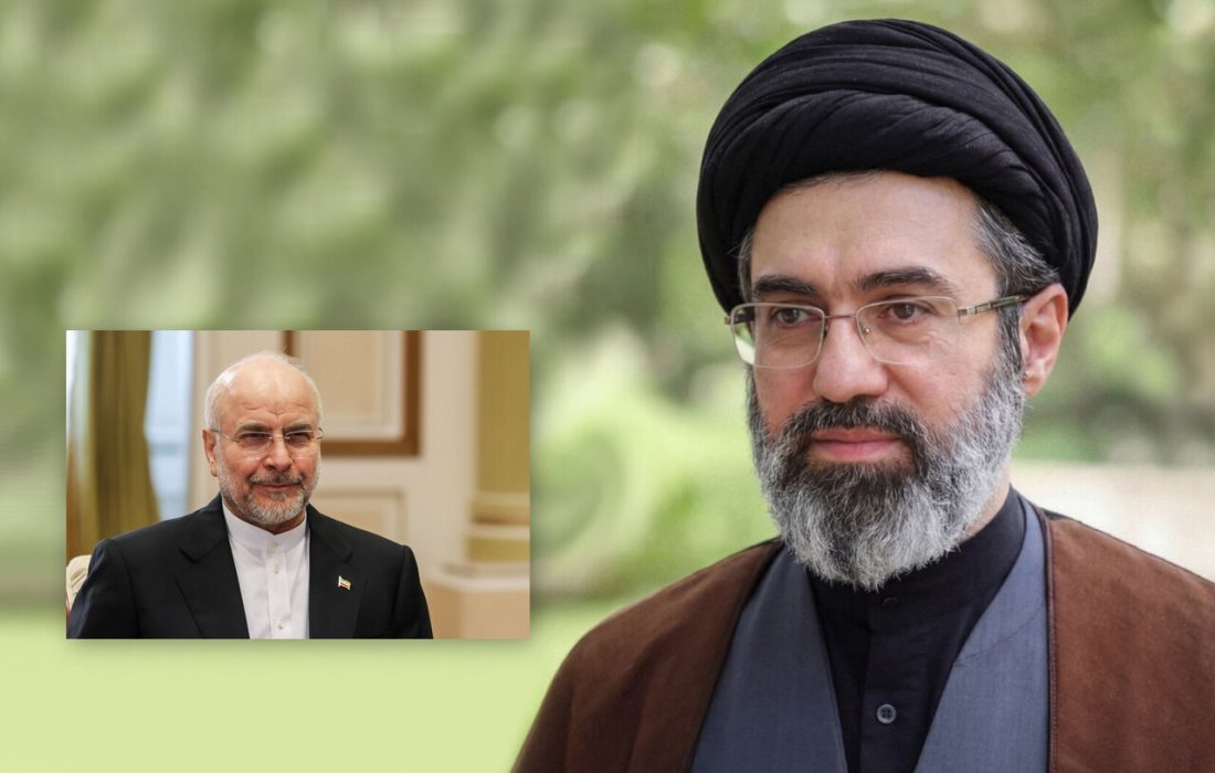 دیدار رئیس مجلس شورای اسلامی با رهبر انقلاب
