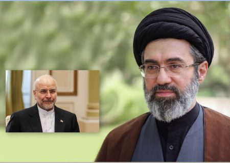 دیدار رئیس مجلس شورای اسلامی با رهبر انقلاب